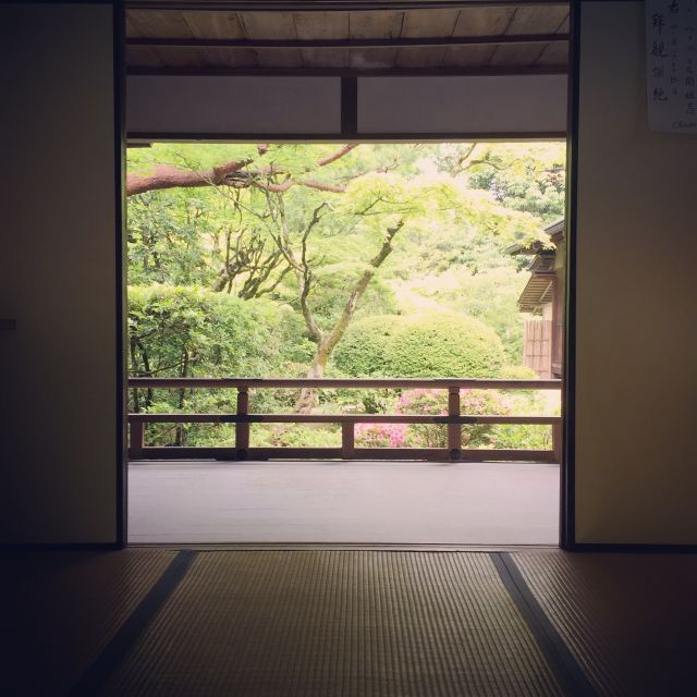 Kyoto: City Secrets eBike Tour - Golden Pavilion: the photo spot you’ll actually understand