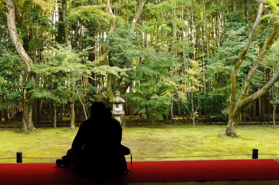 Kyoto: City Secrets eBike Tour - The shrine of knowledge stop: reading Kyoto through learning culture
