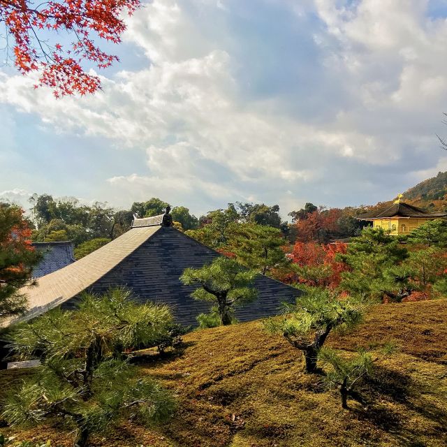 Kyoto: City Secrets eBike Tour - Backstreets and traffic: how the route helps you feel safe