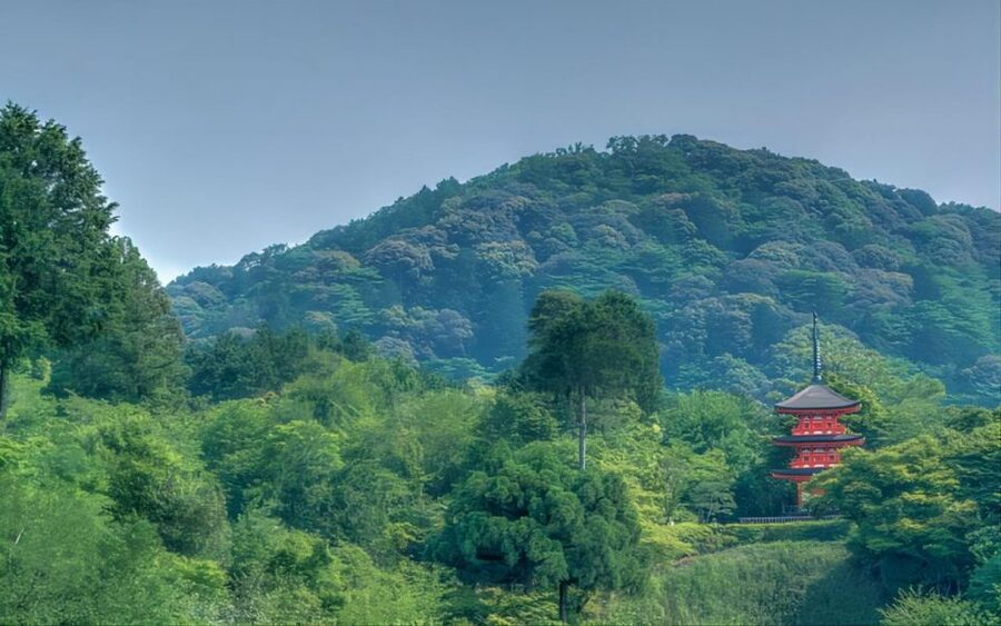 Kyoto: Customizable Full-Day Tour with Privarte Transfers - Price and Value: Is $234 Per Person Reasonable?