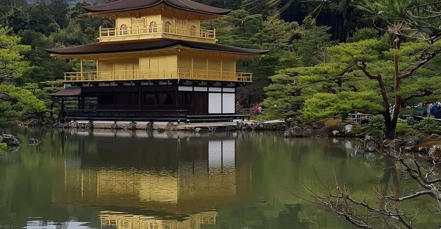 Kyoto: Customized One Day Car tour - Arashiyama Bamboo Forest: 1.5 Hours to Get Your Day Rolling