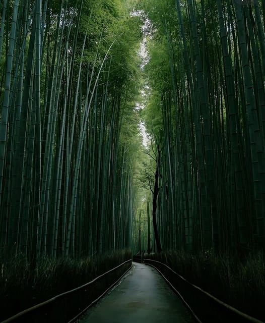 Kyoto: Customized One Day Car tour - The Driver Role: English/Chinese and a Car That Stays With You