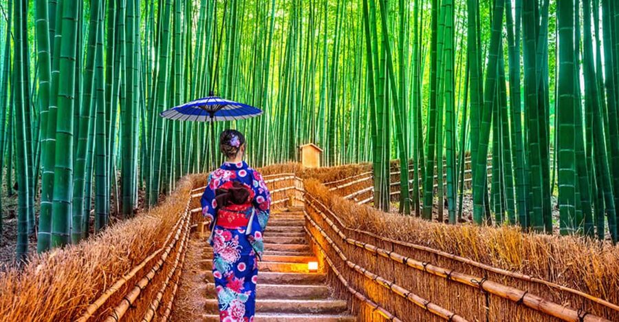 Kyoto Day Tour with Certified Tour Guide & Luxury vehicle - Kyoto in One Private Day: the advantage of taking control