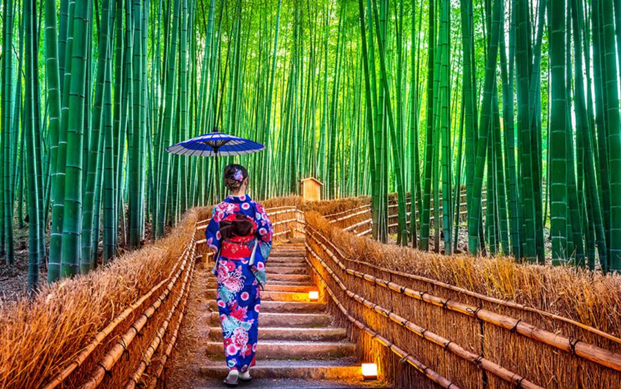 Kyoto Day Tour with Certified Tour Guide & Luxury vehicle - Price, vehicle, and group size: what $490 really buys