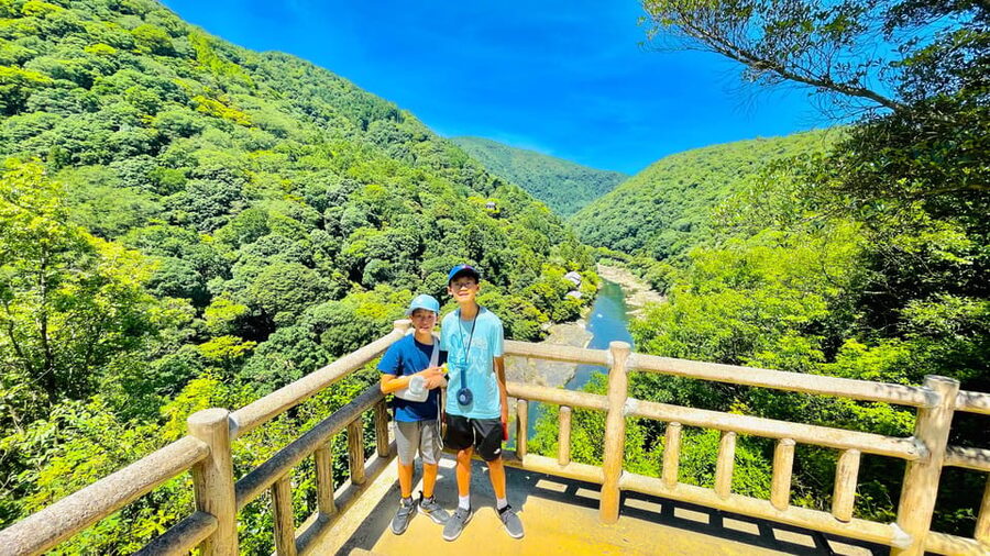 Kyoto Day Tour with Certified Tour Guide & Luxury vehicle - Fushimi Inari Taisha: torii walking with a guided pace