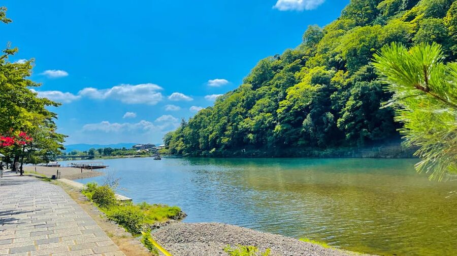 Kyoto Day Tour with Certified Tour Guide & Luxury vehicle - Customization in real terms: how to get the day you want