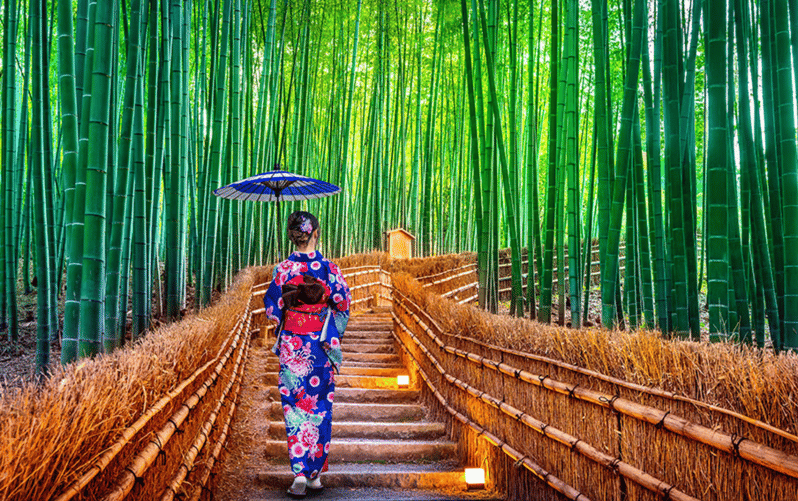 Kyoto Day Tour with Certified Tour Guide & Luxury vehicle - Where the pickup fits: Osaka, Kyoto, Nara, and possibly Kobe