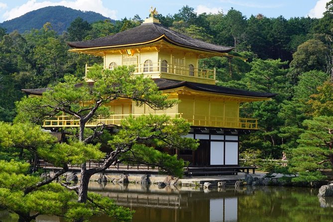 Kyoto Day Trip using Private Car with English Driver (up to 5) - Stop 1: Arashiyama bamboo area and the morning rhythm
