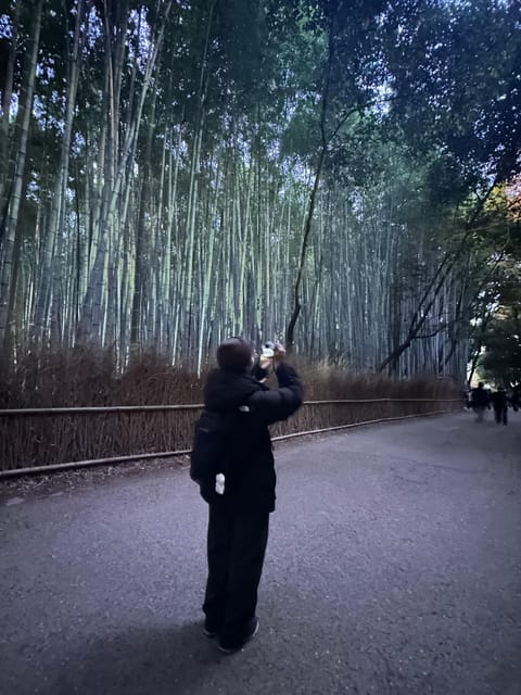 Kyoto: Discover Fushimi Inari, Kiyomizudera, and Yasaka Pagoda. - Higashiyama old town: Sannenzaka and Ninnenzaka street vibes