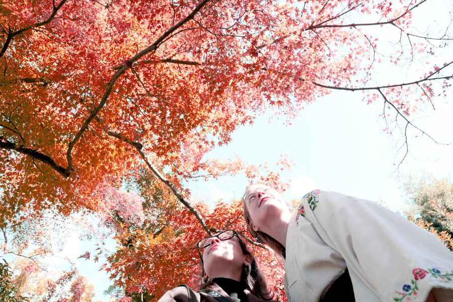 Kyoto: Discover the Oldest Geisha District, Kamishichiken - FAQ