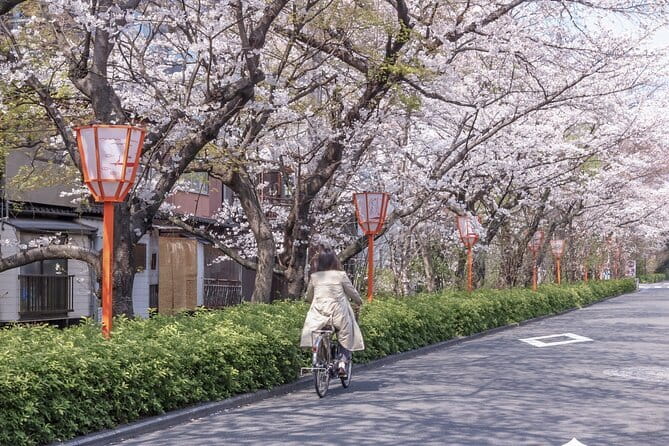 Kyoto E-Bike Tour of Hidden Gems, Backstreets and Temples - Meeting Point in Gion: Where You Start the Day
