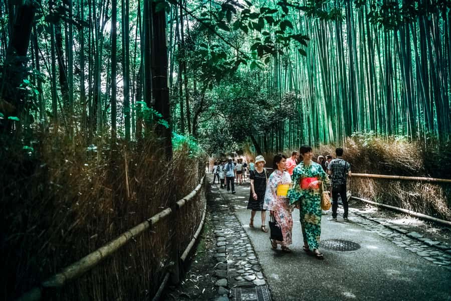 Kyoto Early Bird English Tour: Fushimi-Inari and Arashiyama - Smart tips to get the most from this early-bird morning
