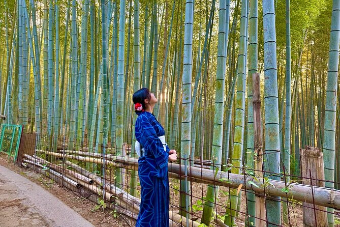 Kyoto Early Bird English Tour: Fushimi Inari & Gion(Private opt) - Stop 3: Sannenzaka and Ninenzaka’s old-street stroll