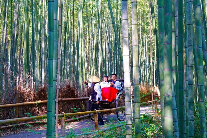 Kyoto Early Bird Tour: Fushimi Inari, Arashiyama Bamboo & Monkeys - Arashiyama Bamboo Forest: a calm photo walk that rewards slower steps
