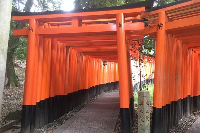 Kyoto Early Bird Tour: Fushimi Inari, Arashiyama Bamboo & Monkeys - Getting the most out of the hike and walking parts