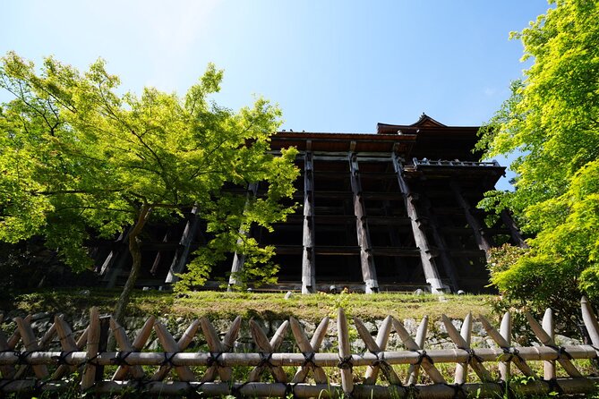 Kyoto Early Morning E Biking Tour Fushimi Inari Kiyomizu Temple - The guide experience: stories, pacing, and better photos