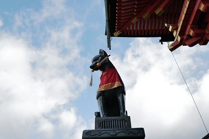 Kyoto Early Morning E Biking Tour Fushimi Inari Kiyomizu Temple - E-bike reality check: what moderate fitness really means