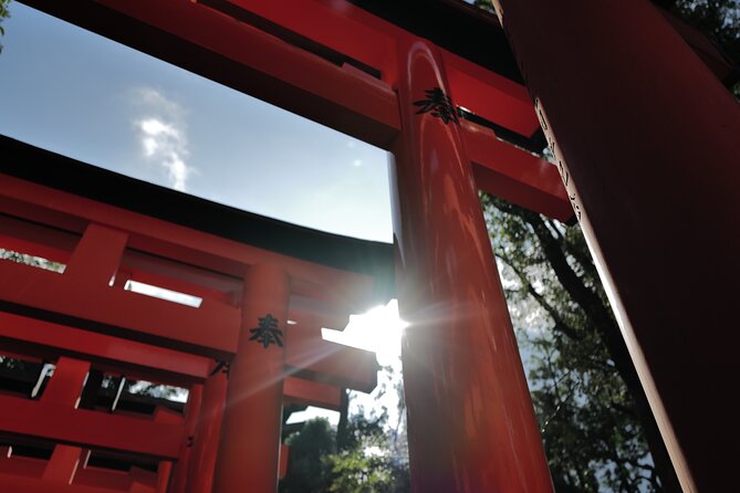 Kyoto: Early Morning Tour with English-Speaking Guide - Arashiyama in one hour: bamboo views with less stress