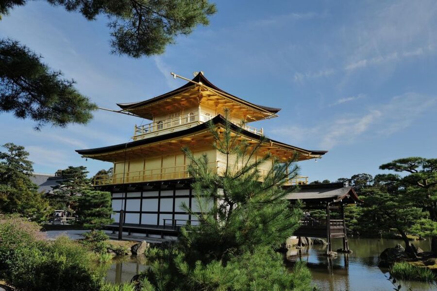 Kyoto: Early Morning Tour with English-Speaking Guide - Pacing, walking, and who this tour fits best