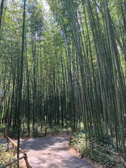 Kyoto: Essential Tour with Fushimi Inari & Bamboo Grove - Kyoto in 3.5 Hours: Why This Fushimi Inari and Arashiyama Combo Works