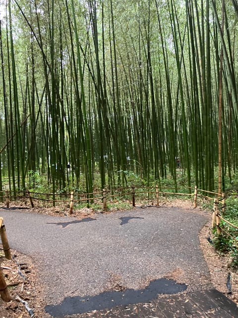 Kyoto: Essential Tour with Fushimi Inari & Bamboo Grove - The Human Touch: Why the Guide Matters Here