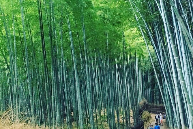 KYOTO Explore Top Highlights by Private Walking Tour - Arashiyama Kimono Forest and bamboo morning energy