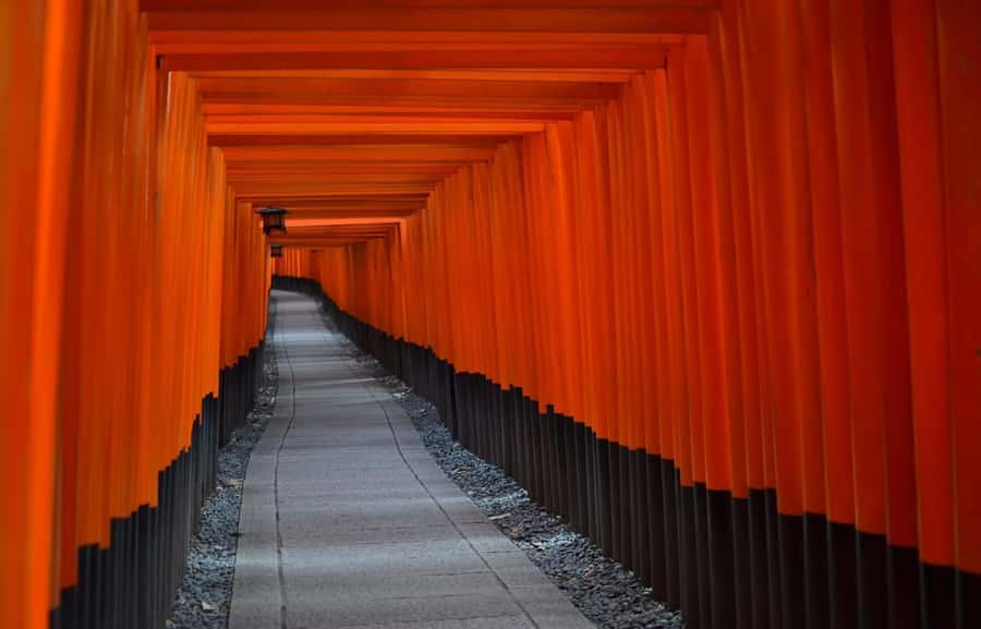 Kyoto : Flexible 3 hours Tour with a English Speaking guide. - The Real Value: A Local Perspective You Can Ask Questions About