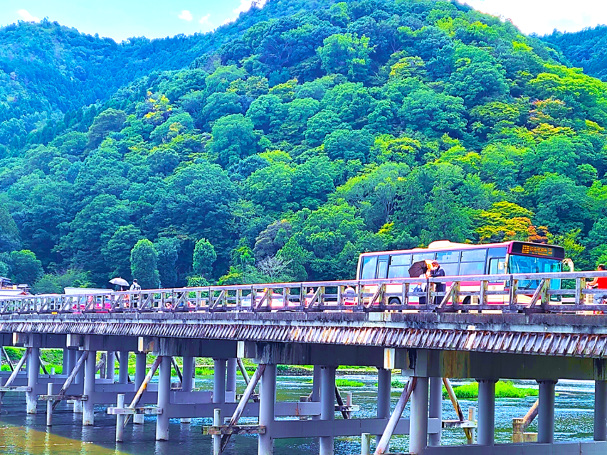 Kyoto Full-Course Tour: Explore 10 Must-Sees & Hidden Gems - Arashiyama Bamboo Forest to Ryoan-ji: quiet Kyoto, then Zen stillness