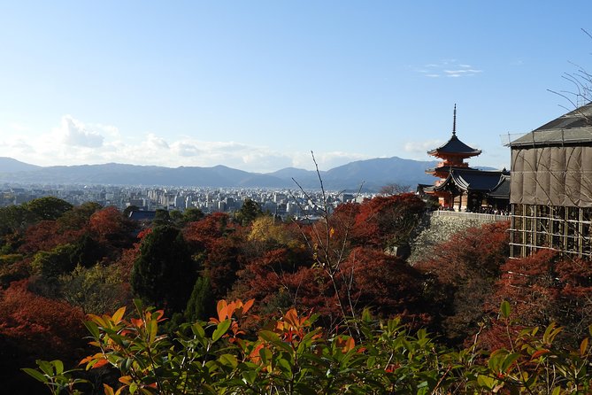 Kyoto Full Day (8 hours) Ultimate Sightseeing Private Tour - Transportation Reality Check: Public Transit vs. Private Car