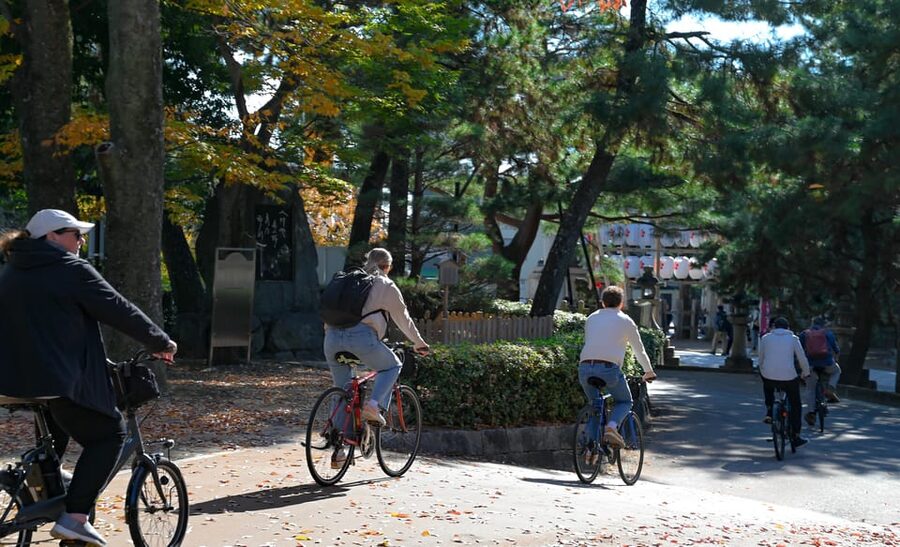 Kyoto: Full Day Bike Tour - What the $116 price covers and how it feels in use