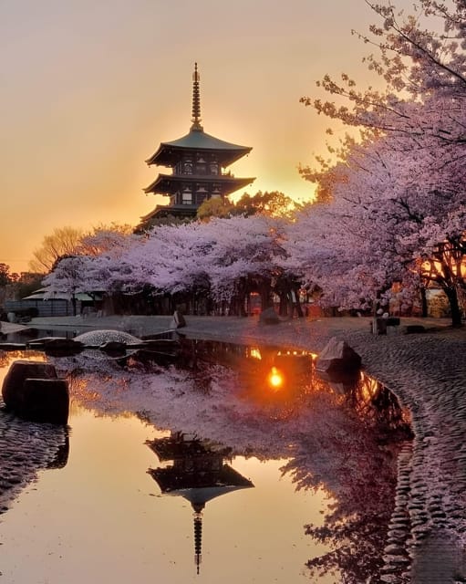 Kyoto full day private day trip with English speaking driver - Key takeaways before you go