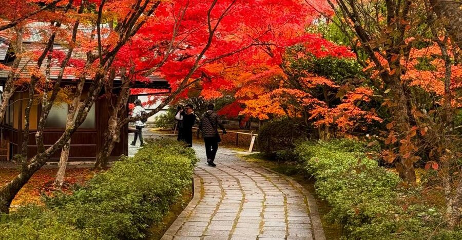 Kyoto: Fully customizable your own tour in the old capital - Mix-and-match Kyoto neighborhoods: Arashiyama, Kiyomizudera, Gion, and more