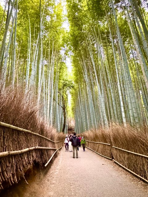 Kyoto: Fully customizable your own tour in the old capital - Meeting your guide: why Nori’s approach matters