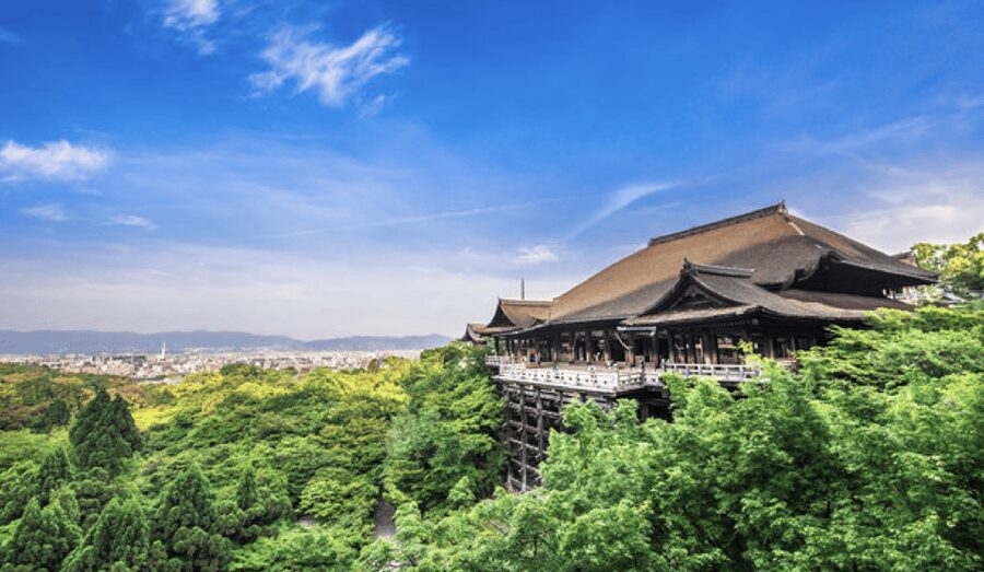 Kyoto: Fully-Customized One-day Private Tour - Gion: Street Scenes With Context (Not Just Photos)