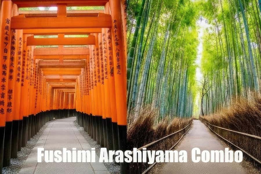 Kyoto: Fushimi, Arashiyama - Bamboo, Monkey, Torii & Secrets - Key Things I’d Focus On