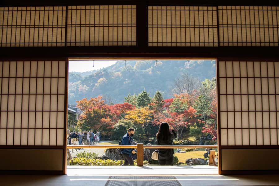 Kyoto: Fushimi, Arashiyama - Bamboo, Monkey, Torii & Secrets - Price and Value: Is $88 a Good Deal?