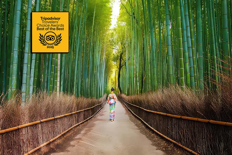 Kyoto: Fushimi, Arashiyama - Bamboo, Monkey, Torii & Secrets - Fushimi Inari to Arashiyama: Why This Tour Works