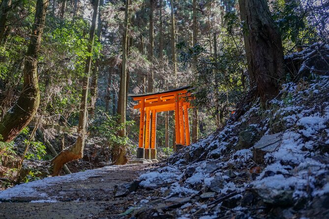 Kyoto: Fushimi Inari Hidden Hike (Private) - Price and Value: Is $62.26 Worth a Private Torii Hike?