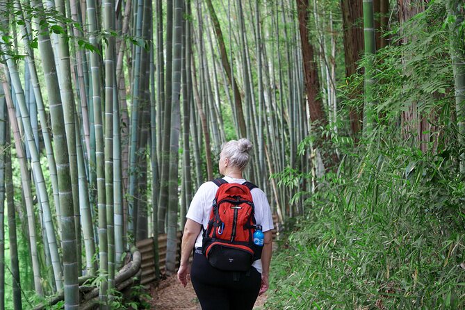 Kyoto: Fushimi Inari Hidden Hike (Private) - The Descent: Fushimi Momoyama Castle Views From the Mountainside