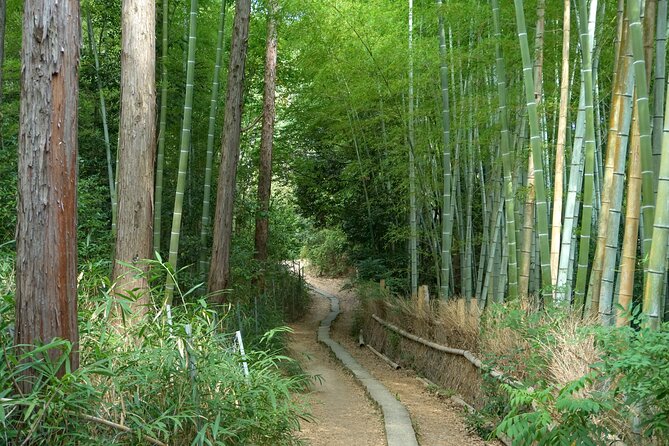 Kyoto: Fushimi Inari Hidden Hike (Private) - What You Actually Learn: Shinto Meaning and Kyoto Context on Foot