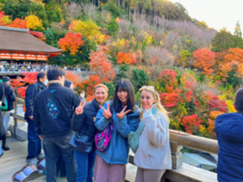 Kyoto: Fushimi Inari, Kinkakuji, Bamboo Grove 1 Day Bus Tour - Nijo Castle Pass-By: A Taste, Not a Full Visit