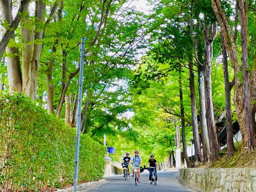 Kyoto: Fushimi Inari Shrine and Tofukuji Temple E-Bike Tour - Kyoto Neighborhood Lanes: Seeing Real Daily Life Between Big Sights