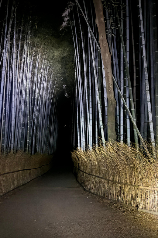 Kyoto: Ghost Tour - Legends, Dark Tales, Bamboo Forest Night - Price and Value: Is $50 Worth It?