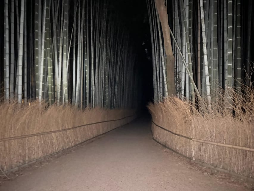 Kyoto: Ghost Tour - Legends, Dark Tales, Bamboo Forest Night - The Drink, Anti-Curse QR Code, and That Creepy Surprise