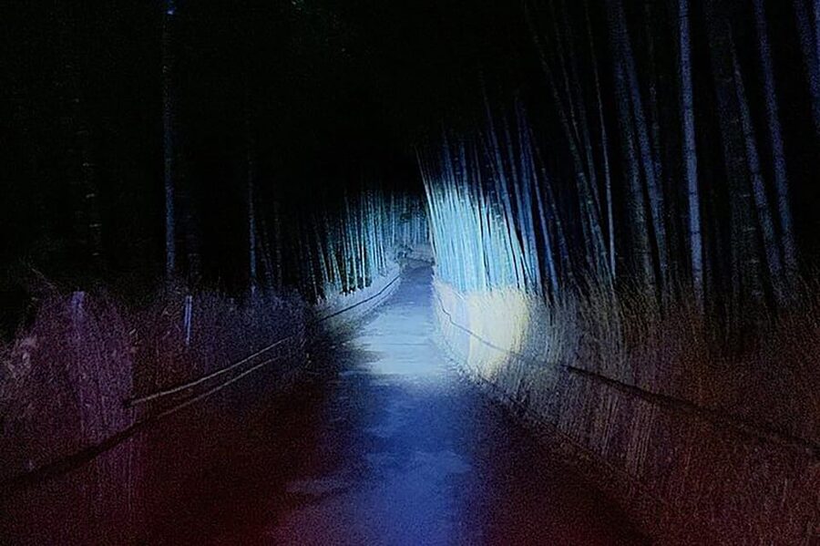 Kyoto: Ghost Tour - Legends, Dark Tales, Bamboo Forest Night - Rules That Actually Affect Your Night