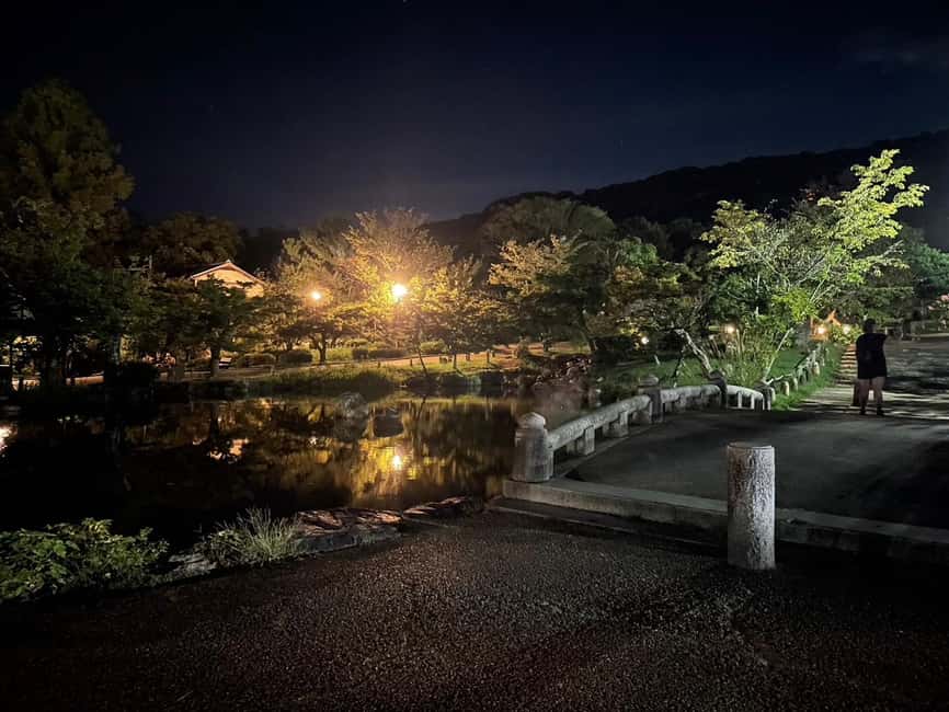 Kyoto: Gion & Geisha District Night Time Walking Tour - Ninenzaka slope: Kyoto’s historic streetscape at eye level