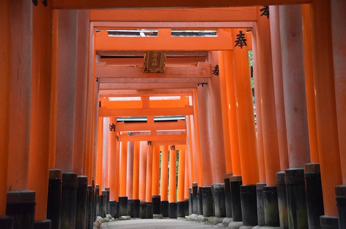 Kyoto Guided Walking Tour Highlight of Kiyomizu & Fushimi Inari - Who This Tour Fits Best (And Who Should Rethink It)