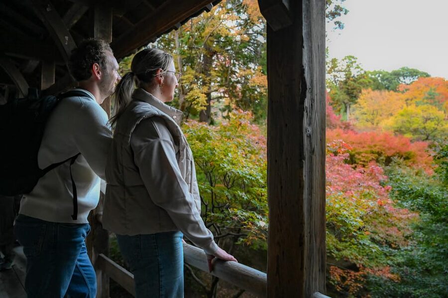 Kyoto: Half-day Guided Bike Tour with Fushimi Inari - Price and logistics: what you’re really paying for