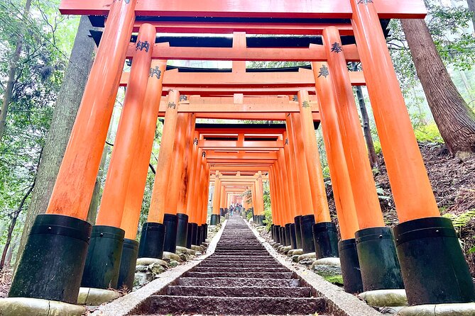 Kyoto Half Day Highlights Tour - Fushimi Inari Taisha: Torii Tunnels and a Walk You Can Pace