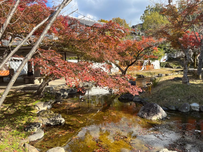 Kyoto: Half-Day Private Guided Tour to the Old Town of Gion - Maruyama Park in spring and autumn: a nature breather that matters